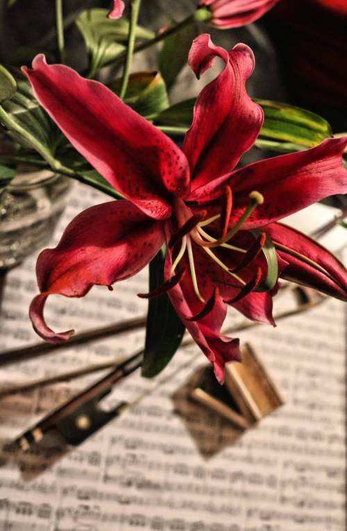 tretia_stvorica_1_original